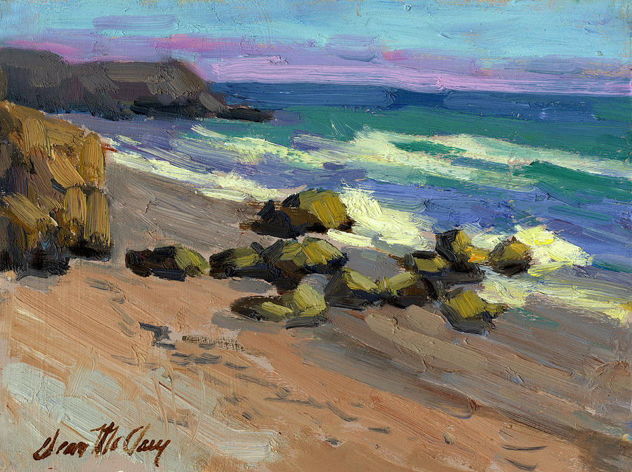 Baja Beach Painting by Diane McClary