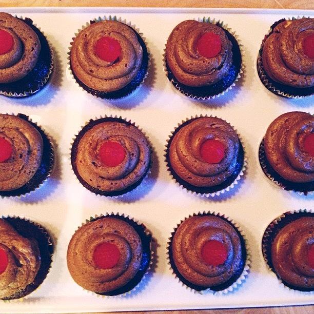 Baked Some Root Beer Flavoured Cupcakes Photograph by Quyen Truong