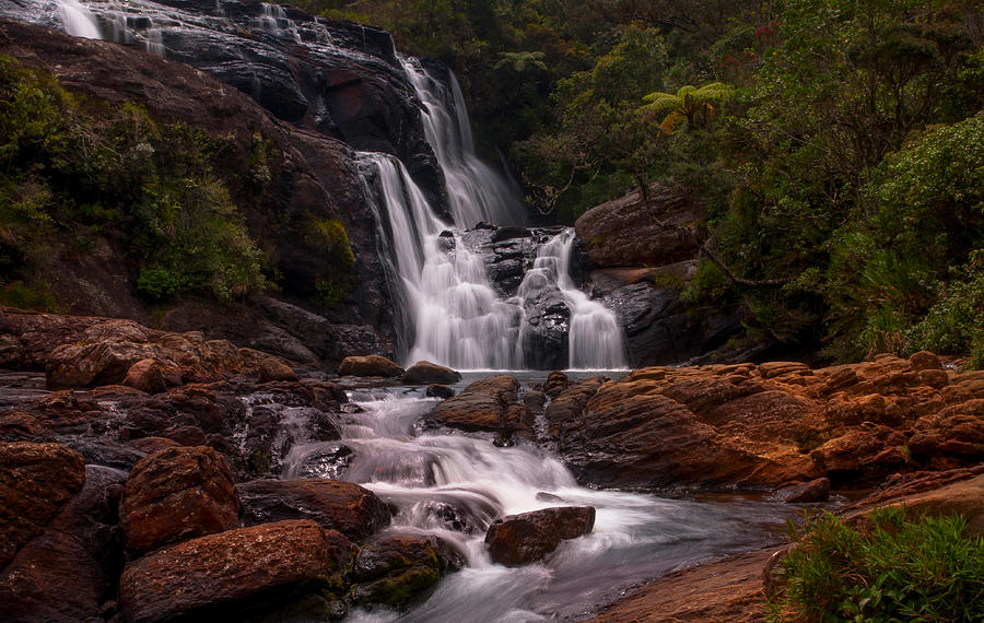 Bakers Fall II. Horton Plains National Park. Sri Lanka Photograph by Jenny Rainbow