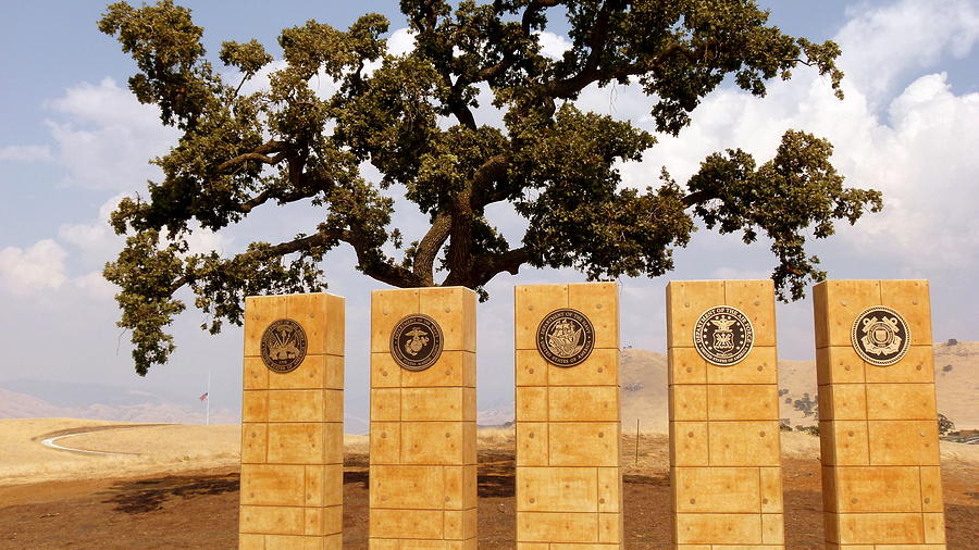 Bakersfield National Cemetery Photograph by Jeff Lowe