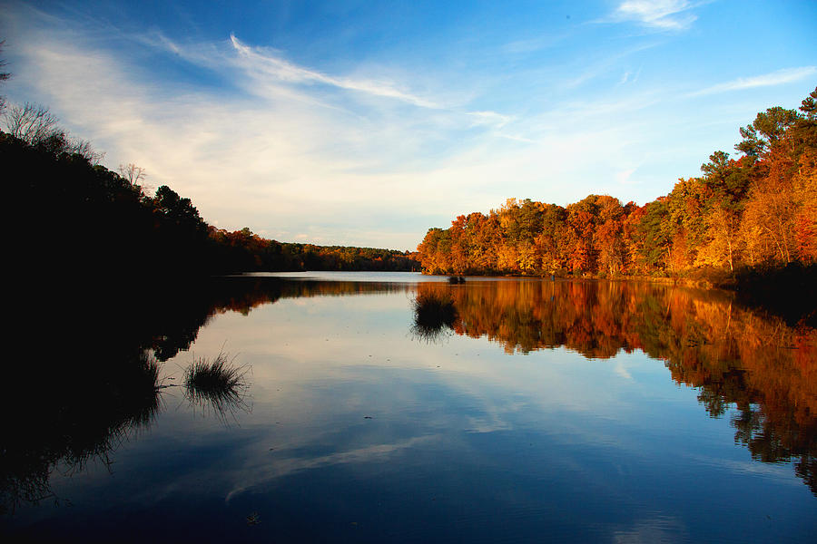 Balance Photograph by Christopher McPhail - Fine Art America