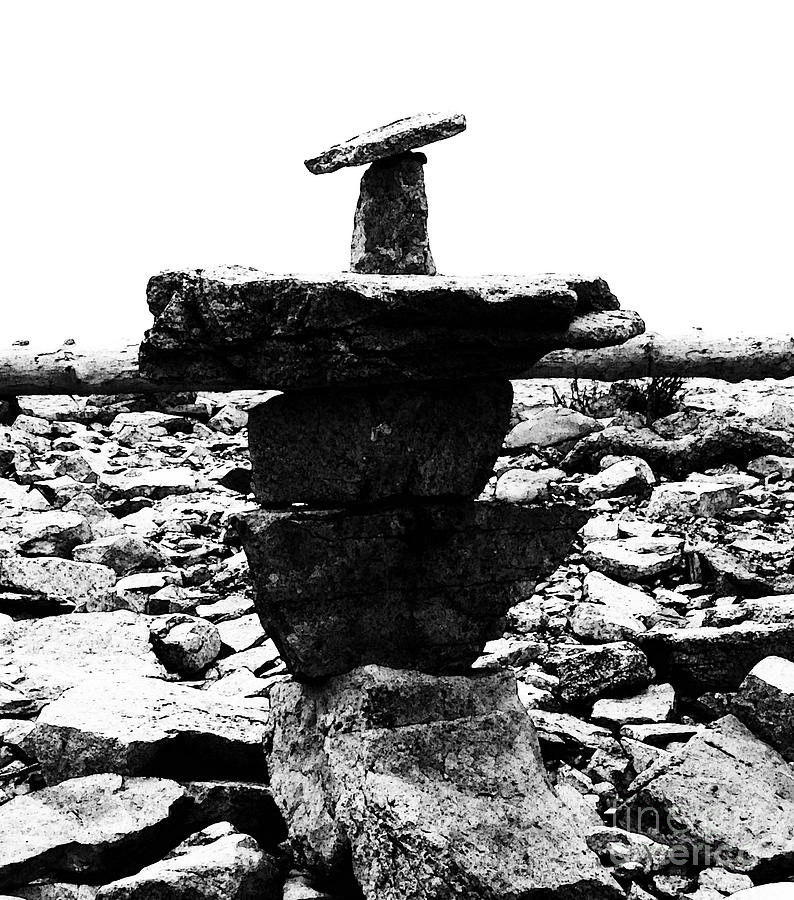 Balance in Black and White Photograph by Patricia Januszkiewicz