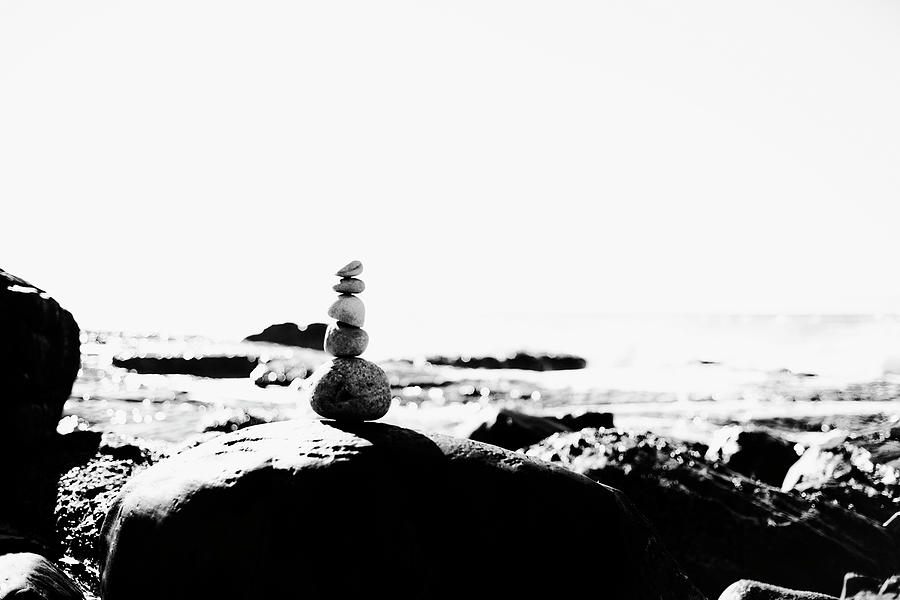 Balance In Nature Photograph by Shaun