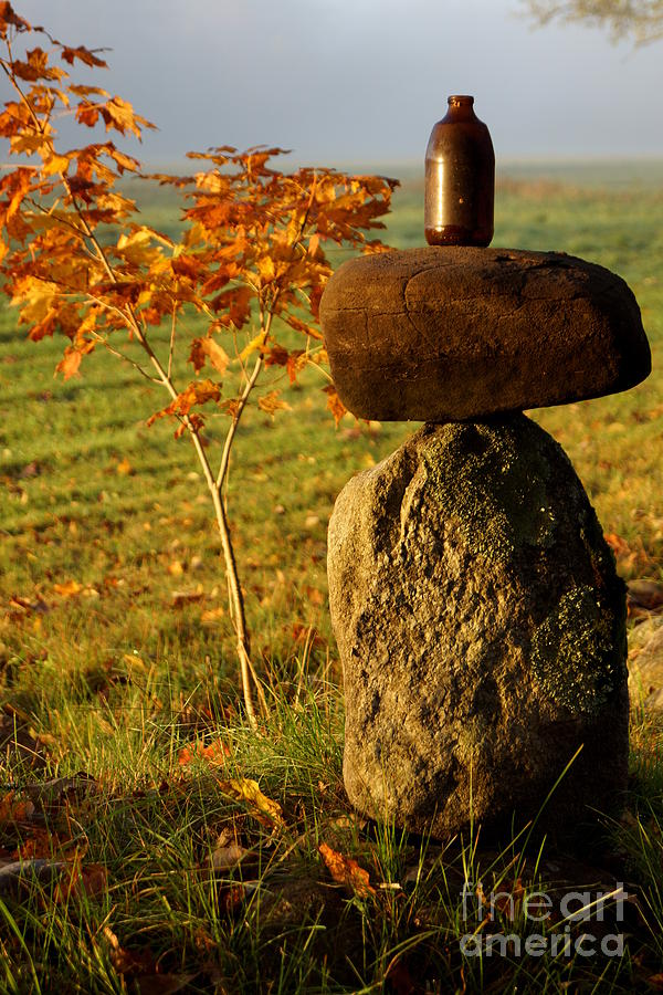 Balance Photograph by Kerri Mortenson