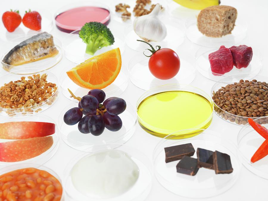 Balanced Diet Photograph by Tek Image/science Photo Library