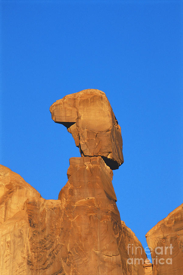 Balanced Rock In Utah Photograph by Gregory G. Dimijian, M.D.
