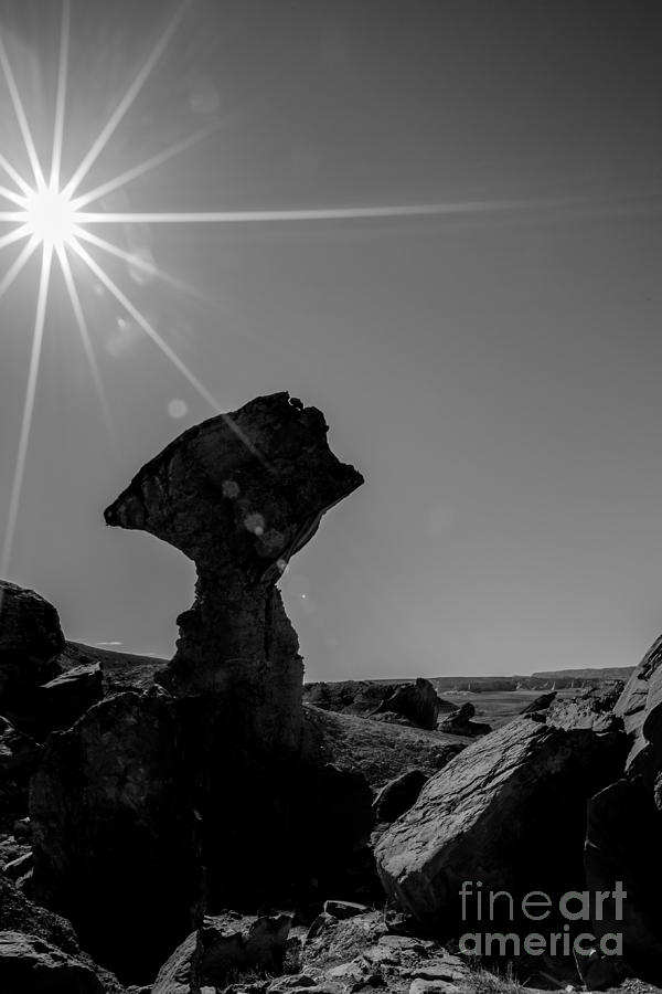 Balanced Rock Photograph by Nicholas  Pappagallo Jr