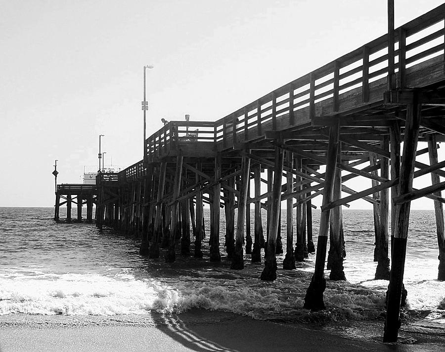 Black And White Photograph - Balboa Pier Bw by Carolyn Stagger Cokley