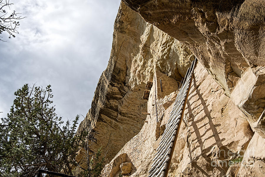 Balcony 32' Ladder Photograph by Baywest Imaging Fine Art America