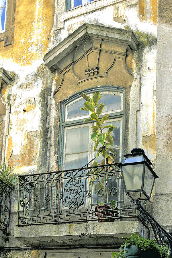 Architecture Photograph - Balcony and Plant Lisbon Portugal by Pat  Moore