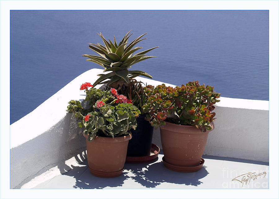 Balcony over the Aegean Sea Photograph by Art by Magdalene