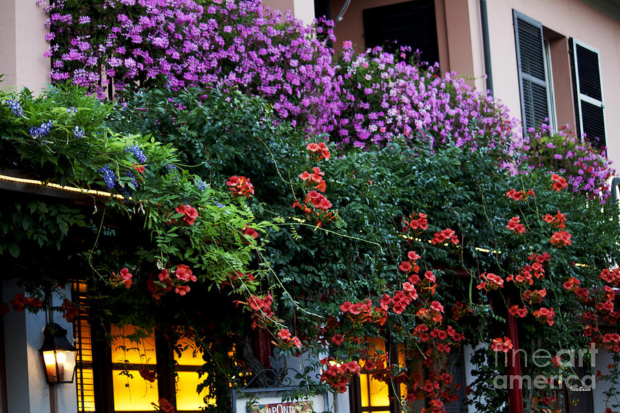 Balcony with Many Flowers  Photograph by Ivete Basso Photography