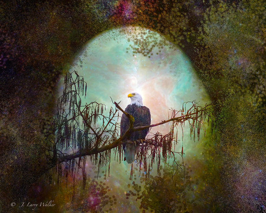 Bald Eagle - A Time For Quiet Reflection Digital Art by J Larry Walker