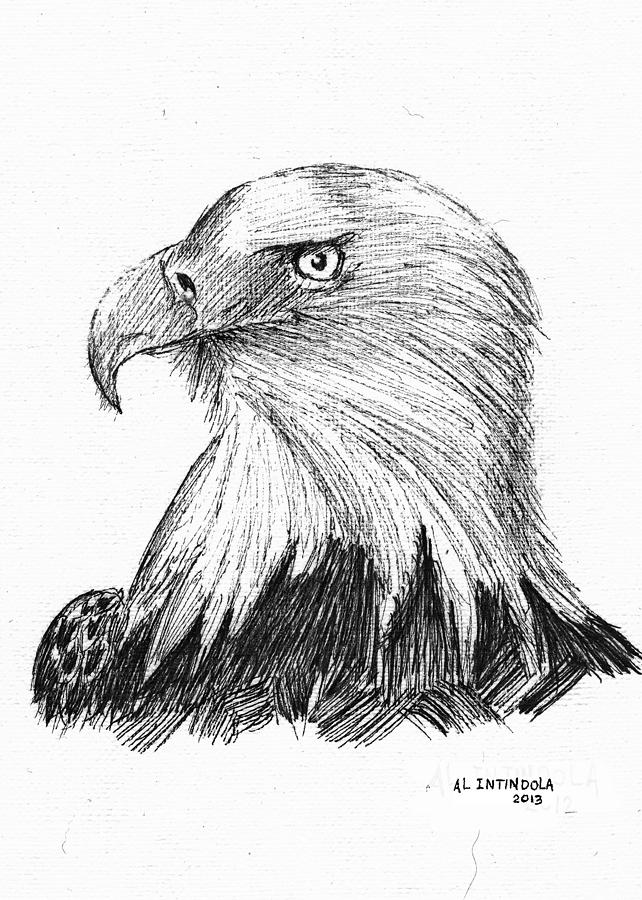 Eagle Drawing - Bald Eagle by Al Intindola
