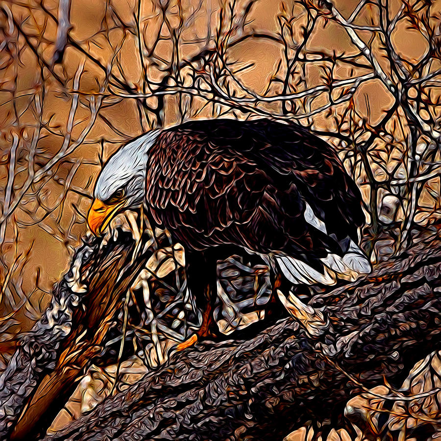 Bald Eagle Colorado Digital Art Digital Art by Ernest Echols