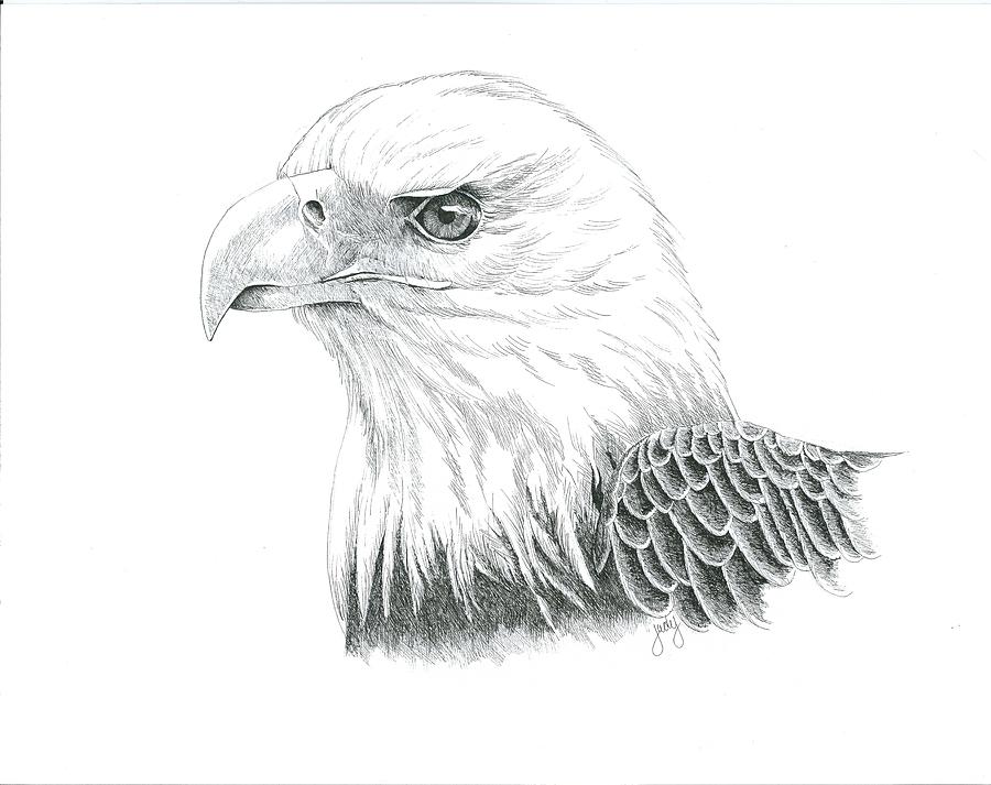 Bald Eagle by Judy Horan