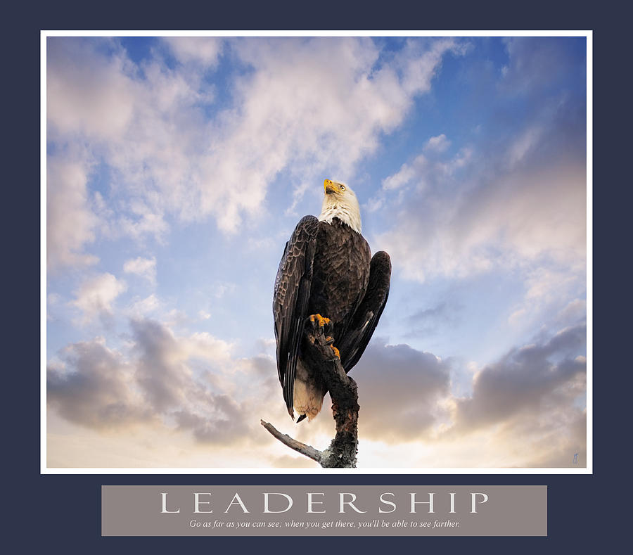 Bald Eagle Motivational Leadership Print Photograph by Jai Johnson