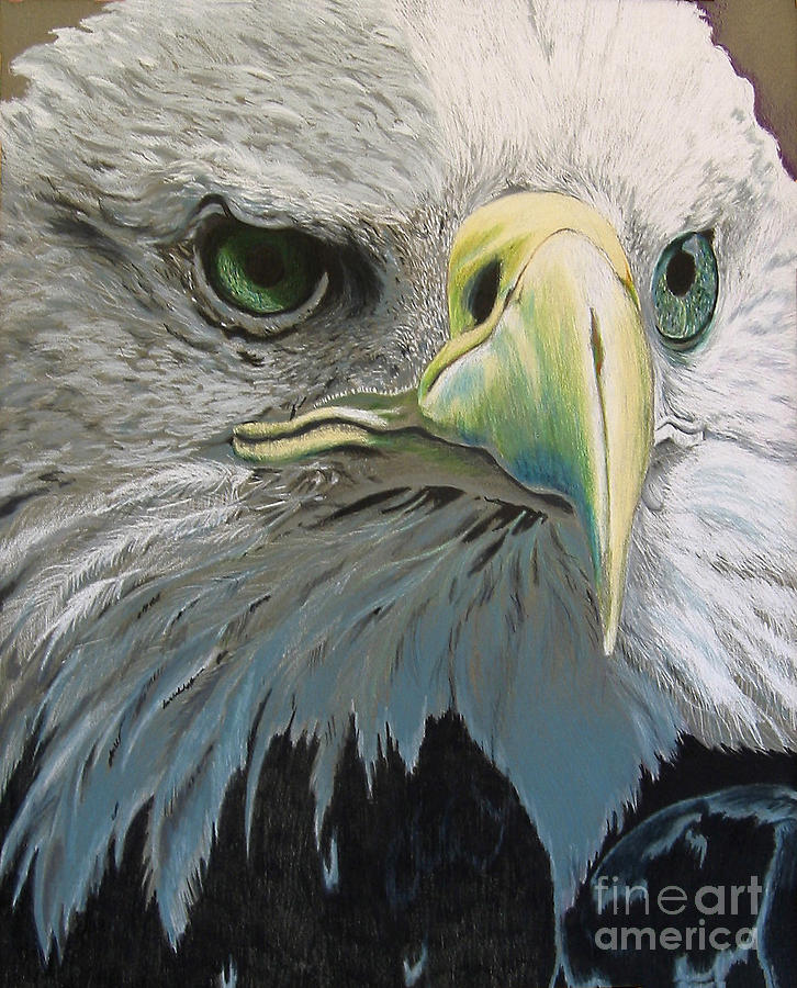 Eagle Drawing - SOLD Bald Eagle by Nancy  Parsons