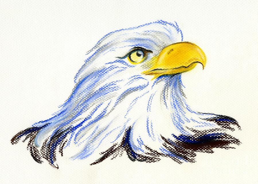 Bald Eagle Portrait Pastel by MM Anderson