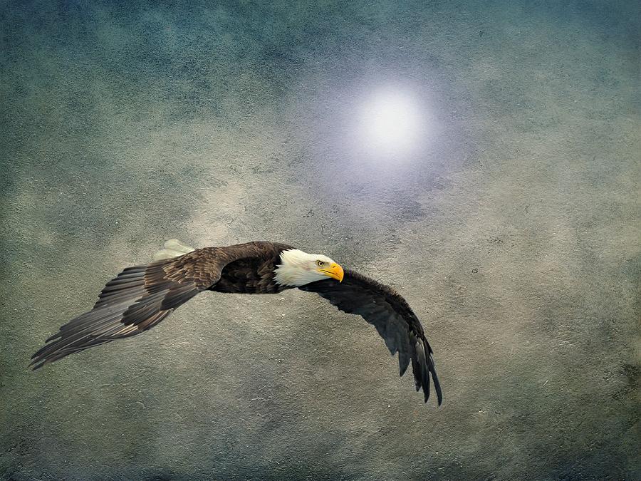 Bald Eagle Textured Art Photograph by David Dehner