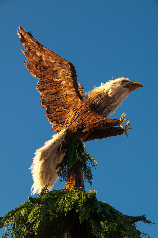 Bald Eagle  vertical Photograph by Connie Cooper-Edwards