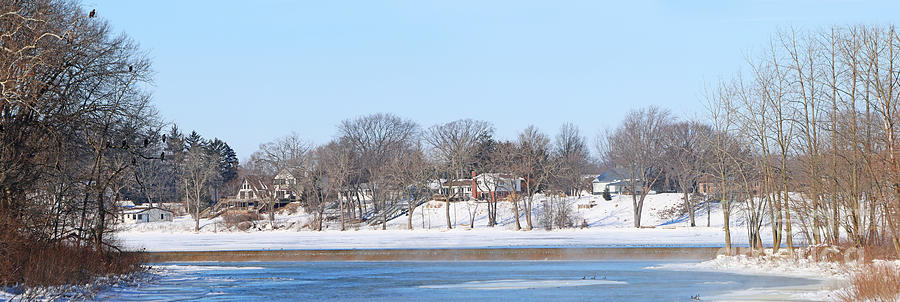Bald Eagles in Tree in Grand Rapids Ohio Panorama Photograph by Jack Schultz