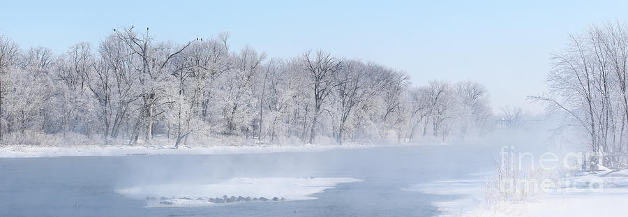 Bald Eagles in Trees on Frosty Morning Panorama Photograph by Jack Schultz