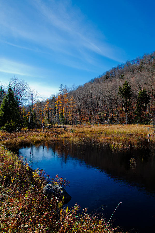 Bald Mountain Pond in Late Autumn Photograph by David Patterson