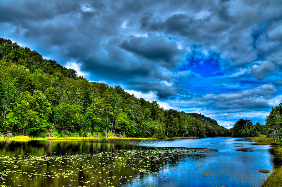 Bald Mountain Pond in Summer Photograph by David Patterson