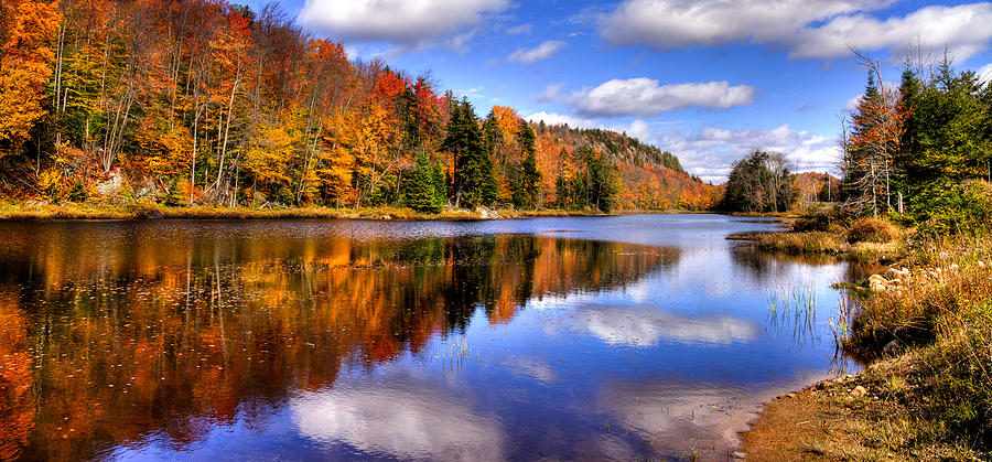 Fall Photograph - Bald Mountain Pond in the Adirondack Mountains by David Patterson