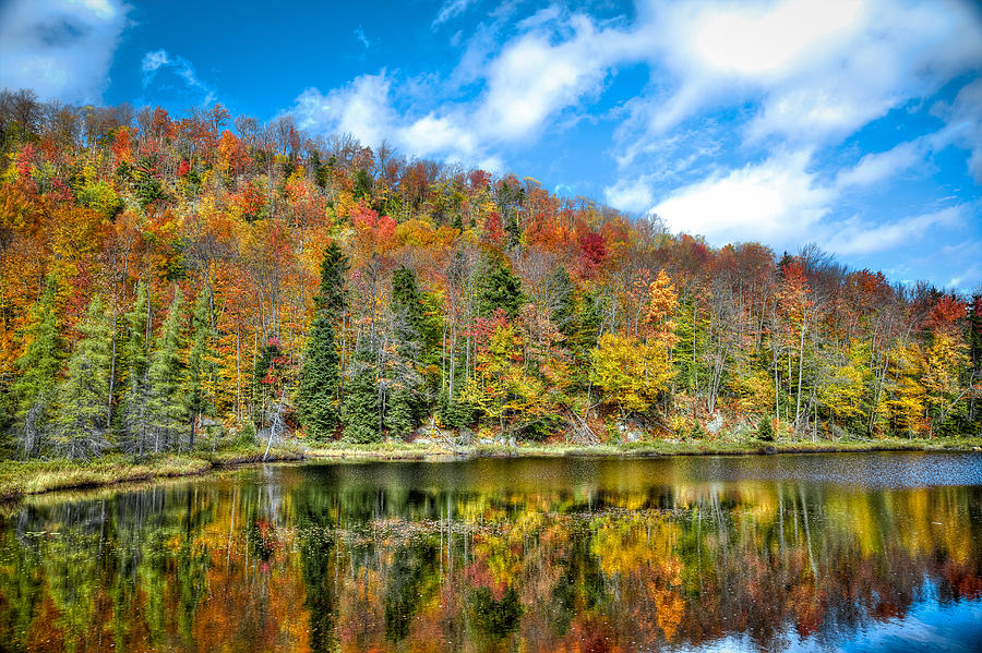 Bald Mountain Pond in the Fall Photograph by David Patterson - Fine Art ...