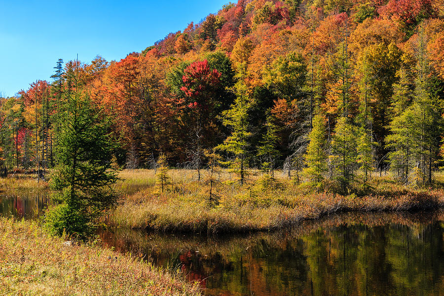 Bald Mountain Pond NY Photograph by MaryGail Perkins - Fine Art America