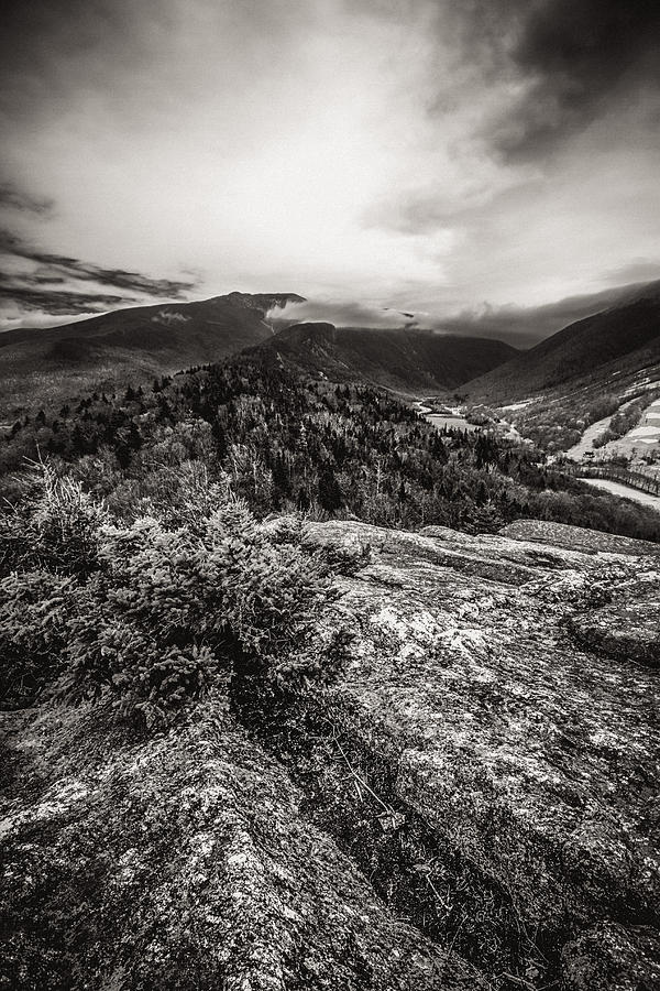 Bald Mountain Photograph by Robert Clifford