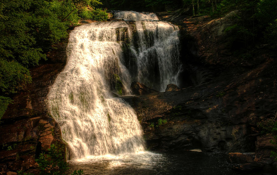Tree Photograph - Bald River Falls by Greg and Chrystal Mimbs