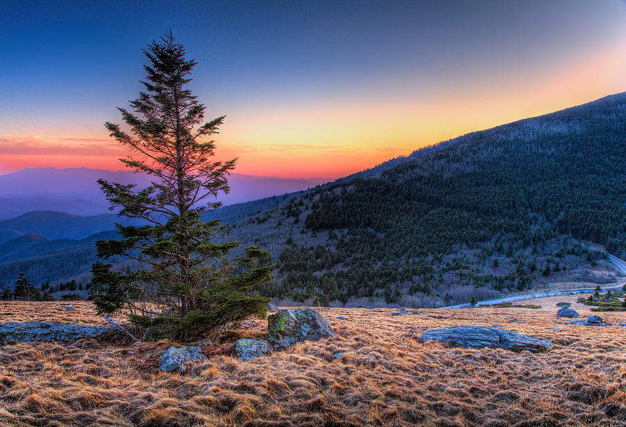 Bald Sunset - Roan Mountain Photograph by Dan Carmichael