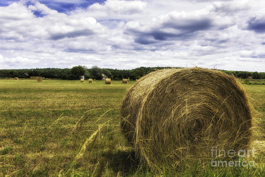 Bale Of Hay Photograph by Timothy Hacker