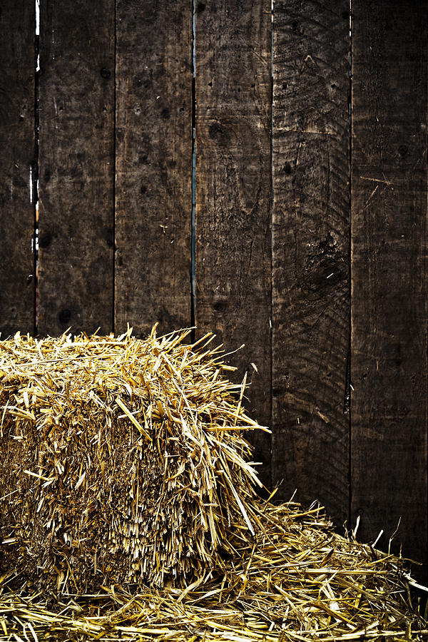Nature Photograph - Bale of straw and wooden background by Dutourdumonde Photography