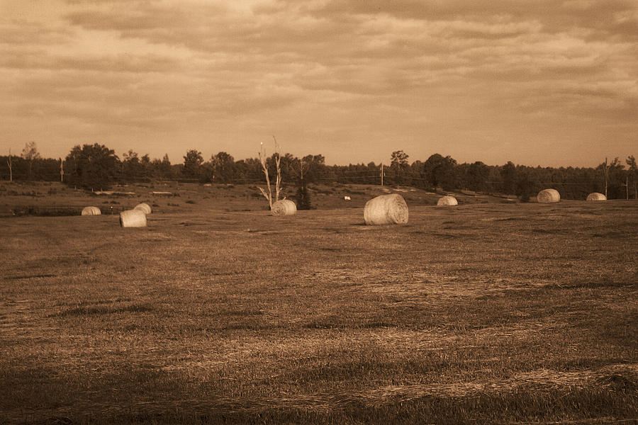 Bales Photograph by Eugene Campbell
