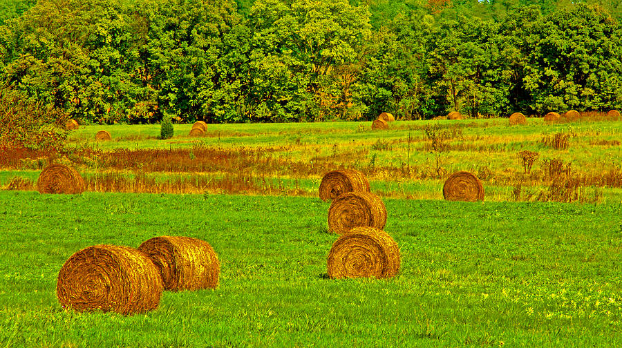 Bales of hay Photograph by Andy Lawless