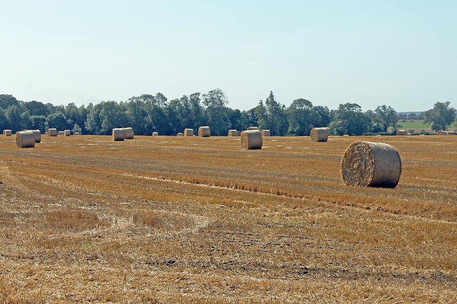 Bales of Hay Photograph by Tony Murtagh