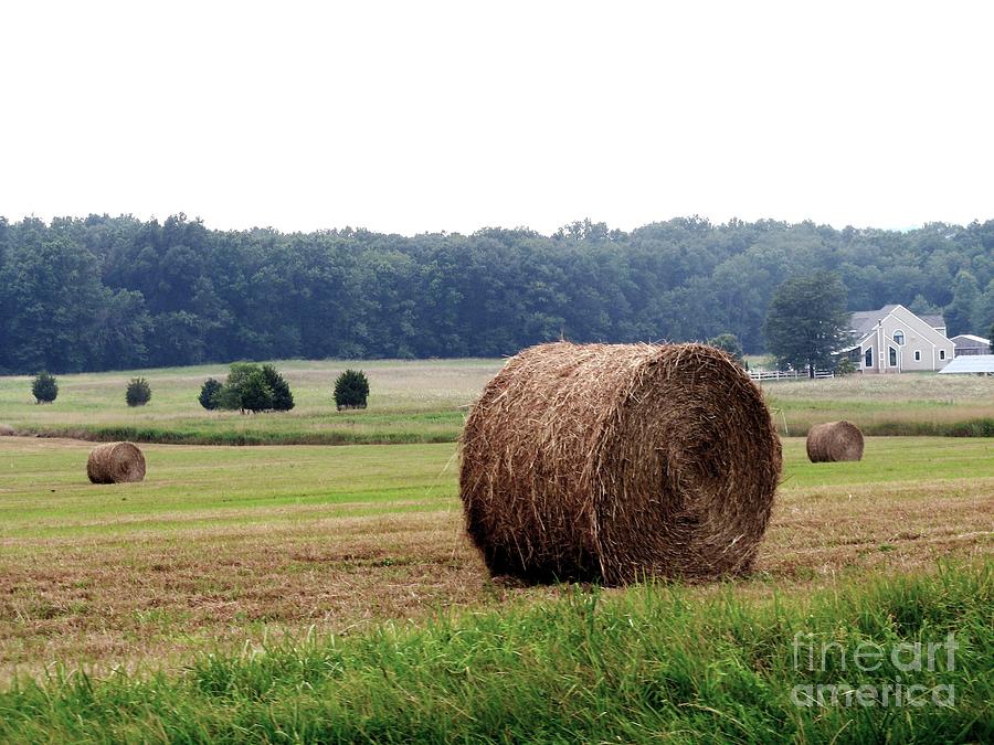 Landscape Photograph - Bales in Solebury by Christopher Plummer
