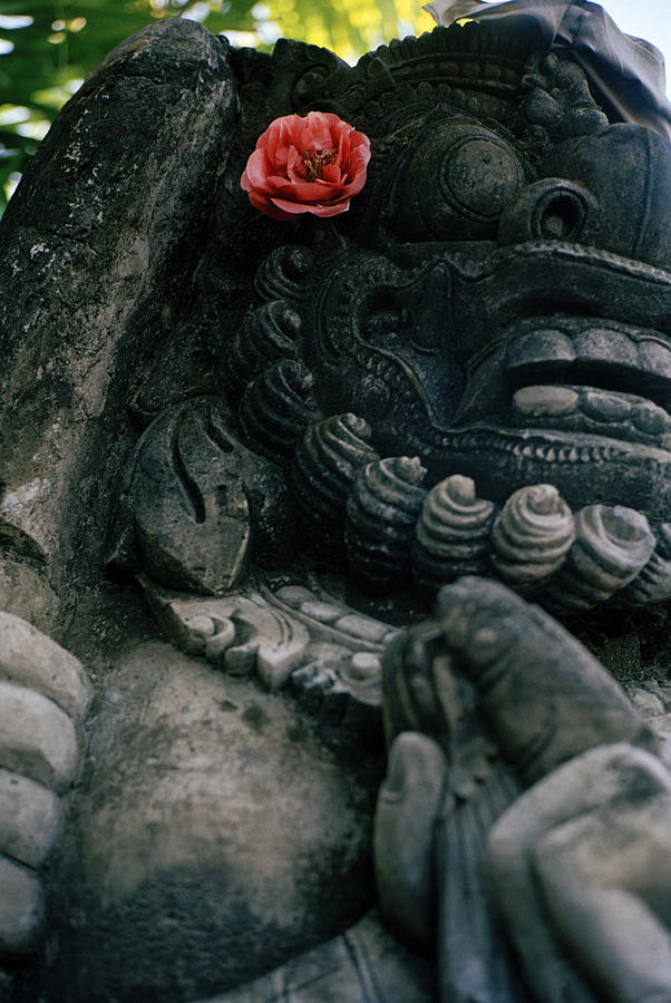 Beautiful Bali Flower Photograph by Shaun Higson