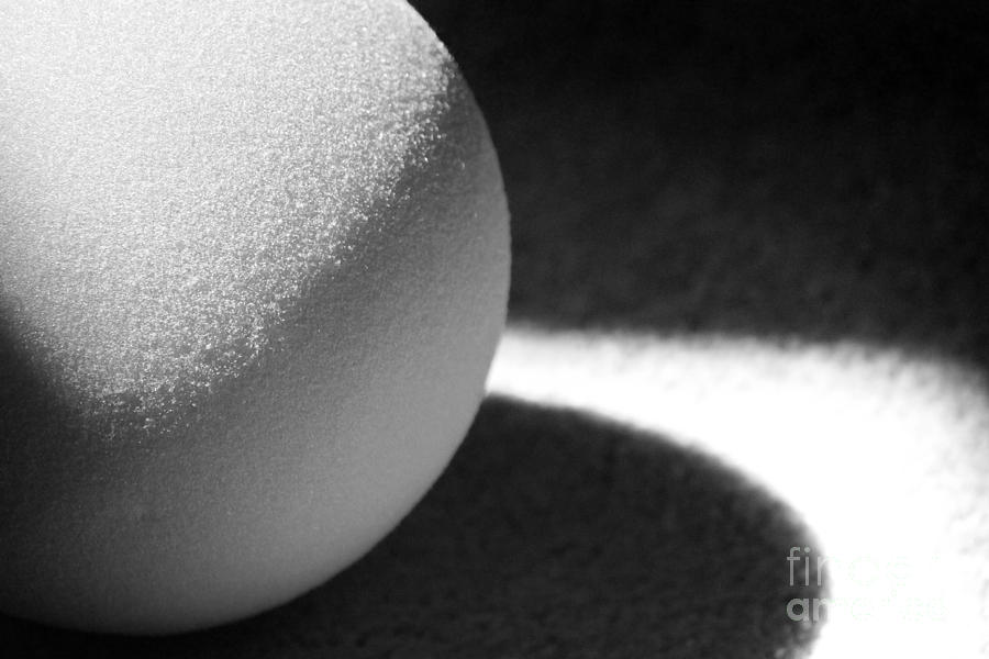 Ball Abstract Black and White Close-up Photograph by Karen Adams