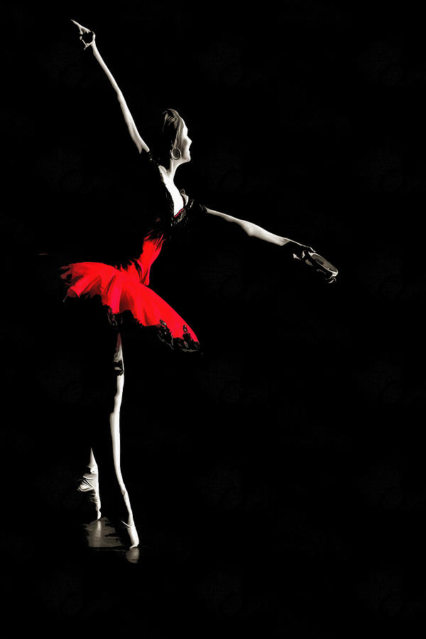 Ballerina Photograph - Ballerina by CarolLMiller Photography