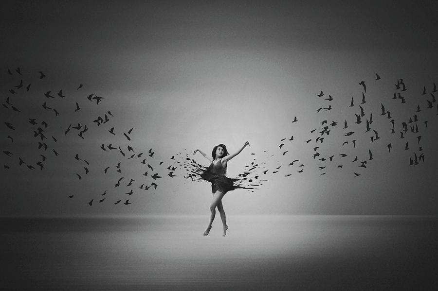 Black And White Photograph - Ballerina Flight Of Birds by Mark Biwit