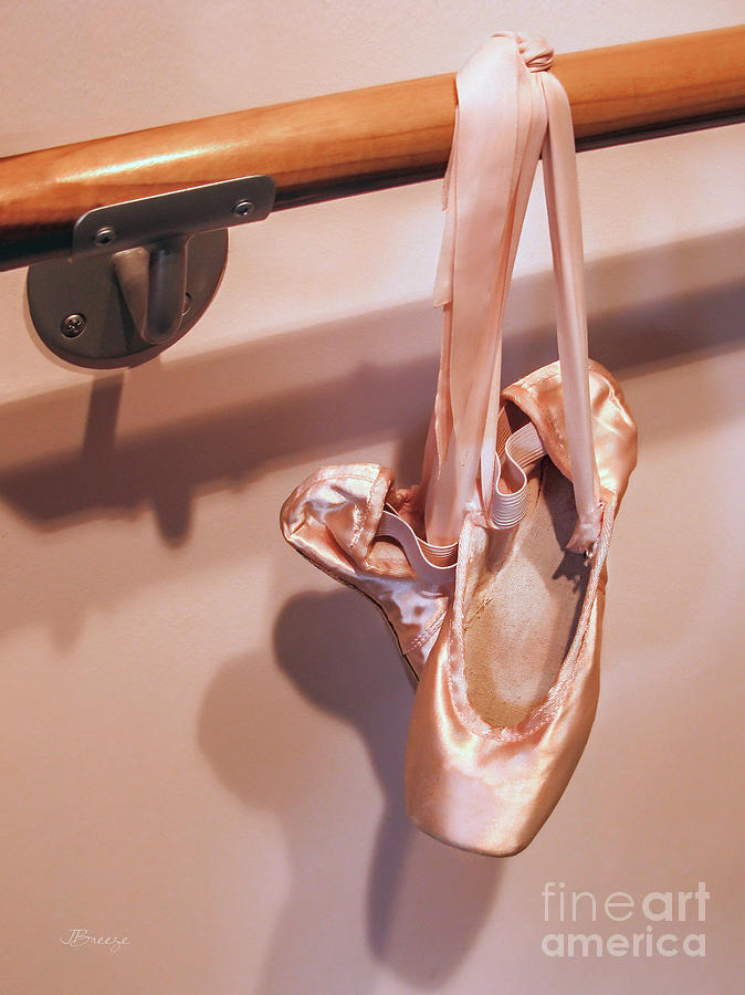 Ballernia Slippers Photograph by Jennie Breeze