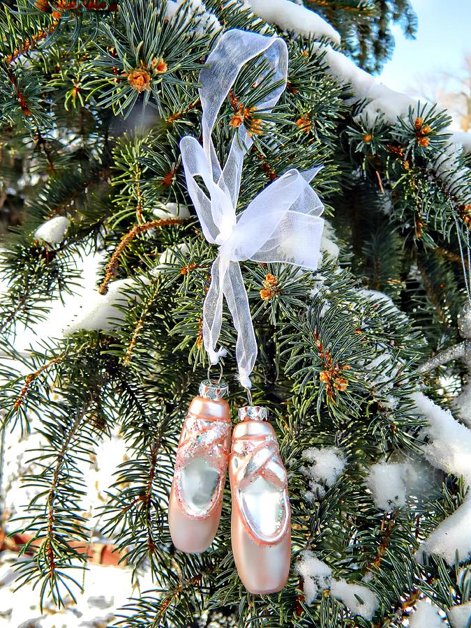 Ballet Ornament Photograph by Michelle Frizzell-Thompson