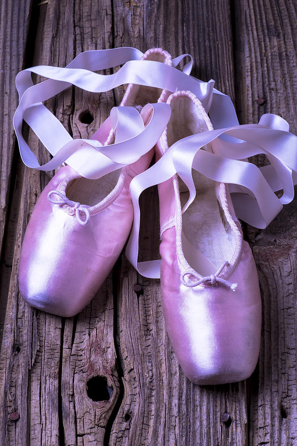 Ballet slippers Photograph by Garry Gay