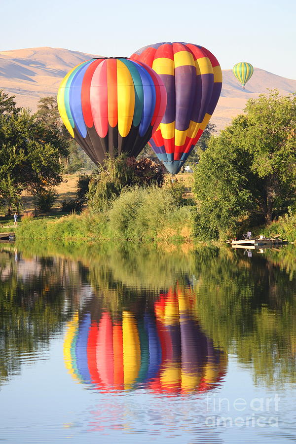 Balloon Buddies Photograph by Carol Groenen