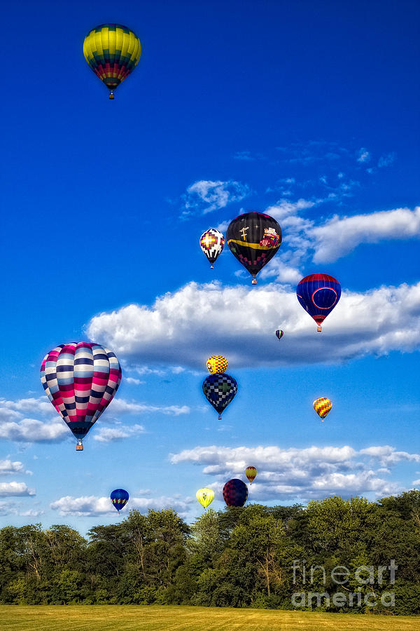 Balloonfest Photograph by Timothy Hacker